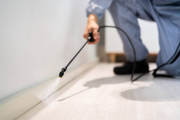 Licensed Pest Control service in Diablo Grande, CA - Show Me Pest Control